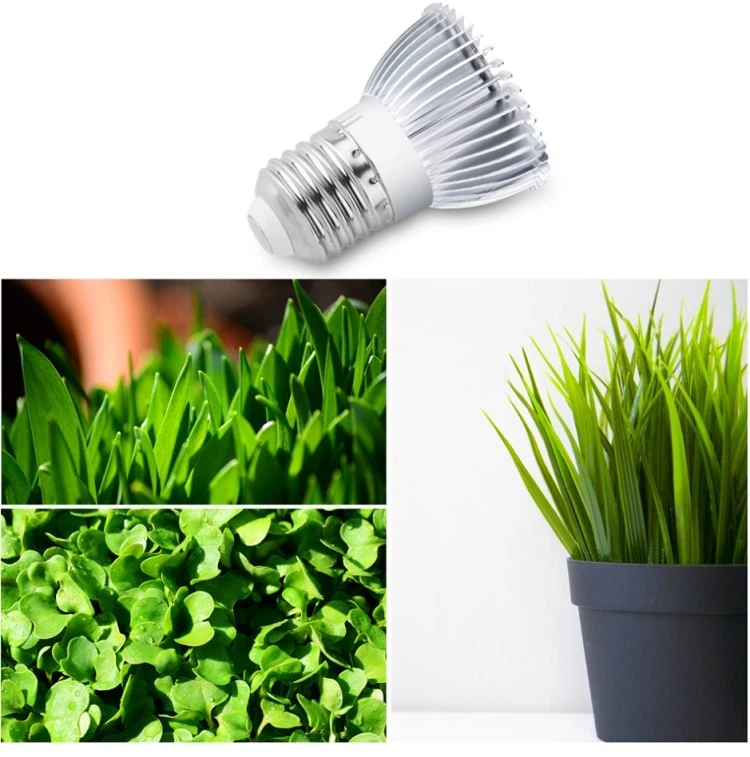 natural spectrum LED lights bulb natural spectrum LED lights bulb