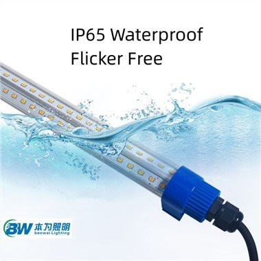 पोल्ट्री फार्म प्रकाश व्यवस्था