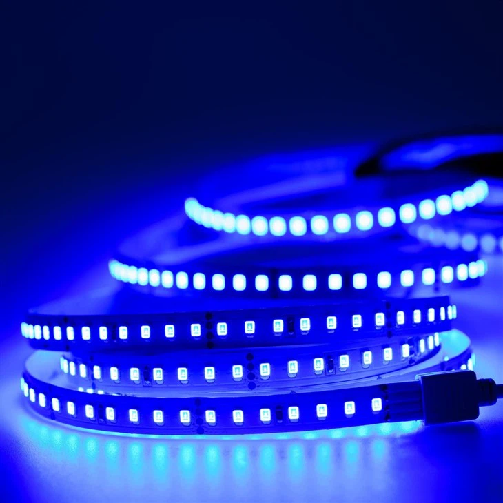 24V LED strips blue