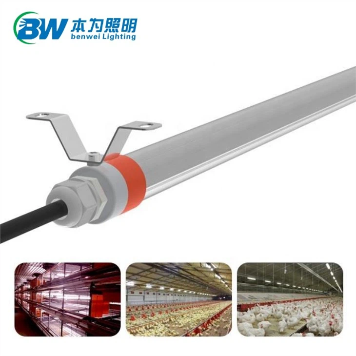Led Farm Lights