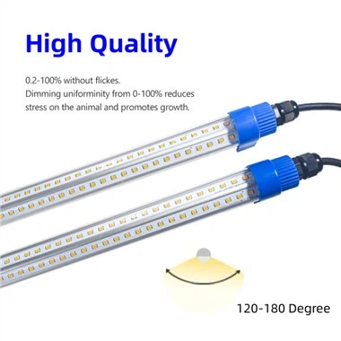 चूजों के बच्चों के लिए रोशनी