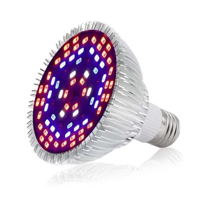 रेड लाइट लाइट बल्ब