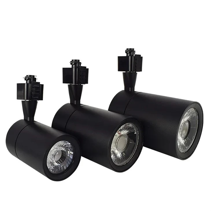Track Light For Artwork