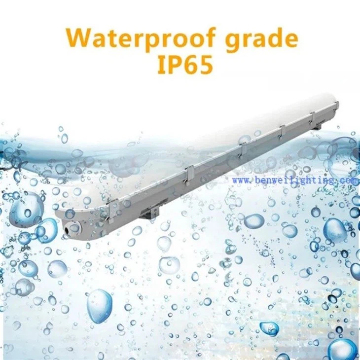 12w Tri-proof Light 3000k
