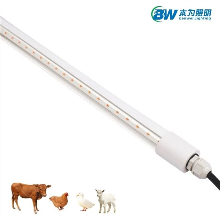 25w Chicken Coop Light 4000k