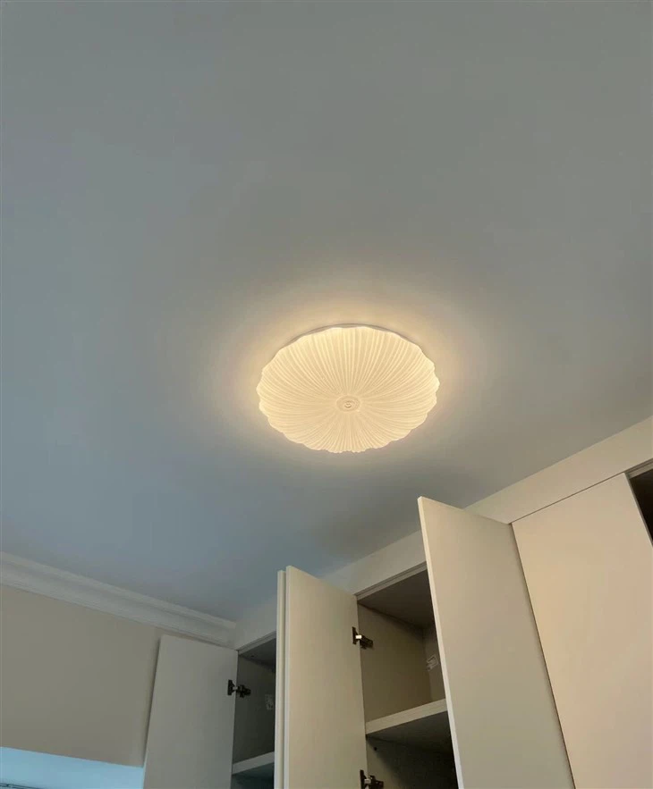 Ceiling Lights 4000k