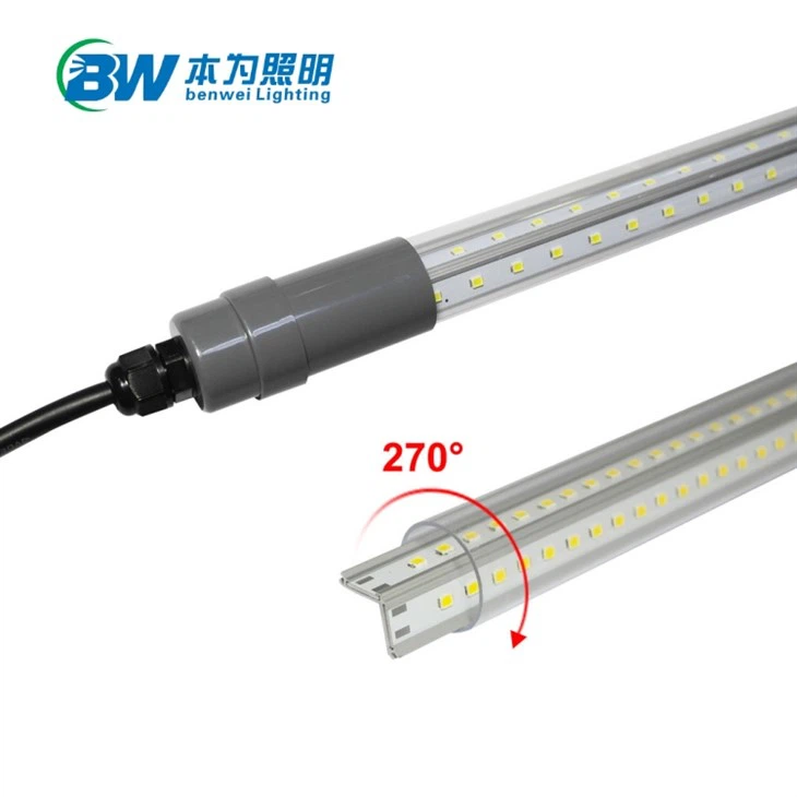 Chicken Farm Led Lights