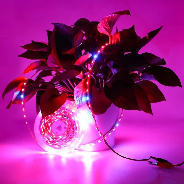 smart multicolor led light strip smart multicolor led light strip