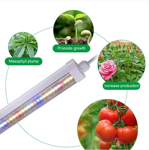 Linear Led Tube T8 Ballast Compatible Grow Led Light