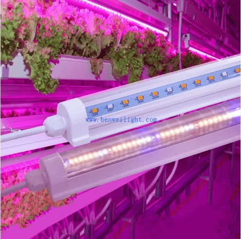 Linear Led Tube T8 Ballast Compatible Grow Led Light