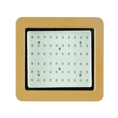 विस्फोट रोधी एलईडी लाइटिंग 300W