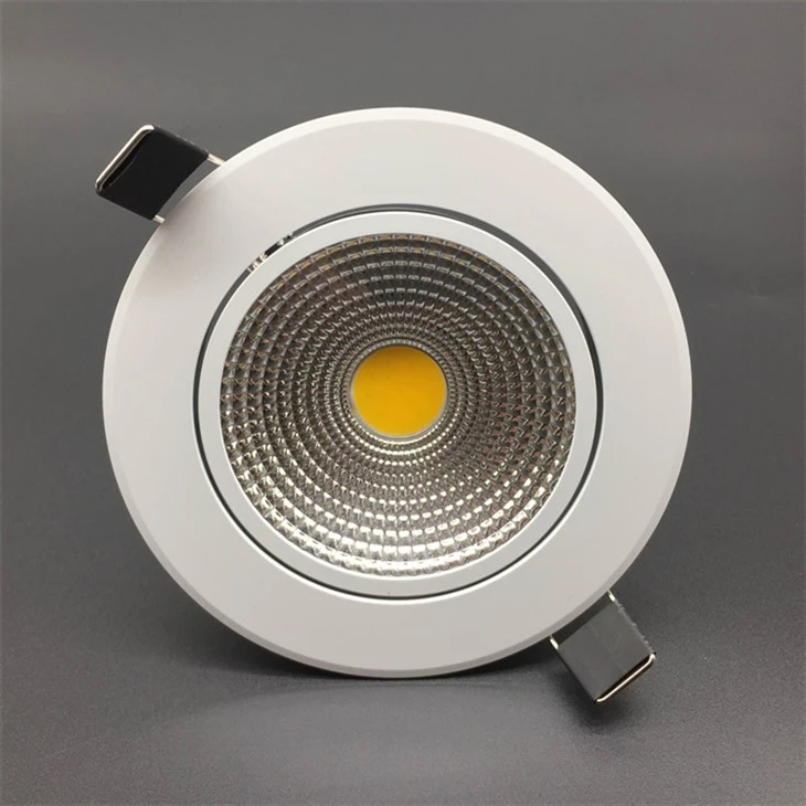 Trimless Downlight