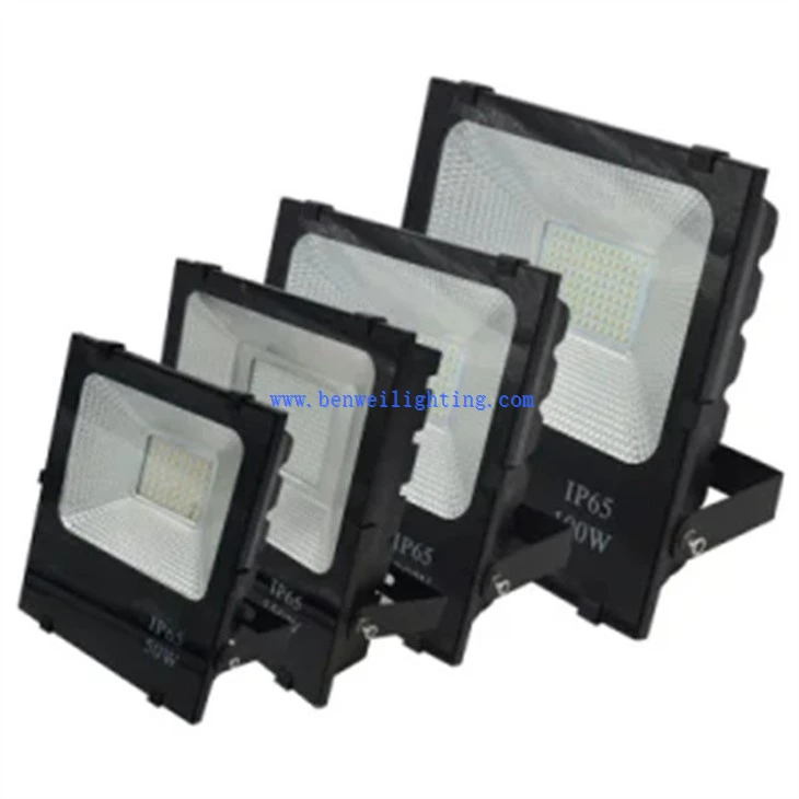 Yard Floodlight (2)